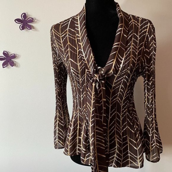 Brown Sheer Flare Blouse - Picture 1 of 7